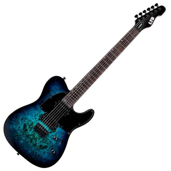 ESP LTD TE-200DX Electric Guitar in Blue Burst - LTE200DXBLB