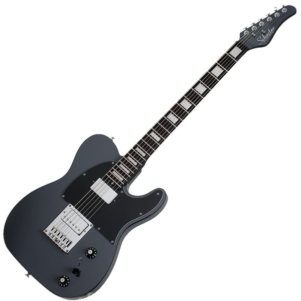 Schecter PT EX Electric Guitar In Dorian Gray - 2148SHC