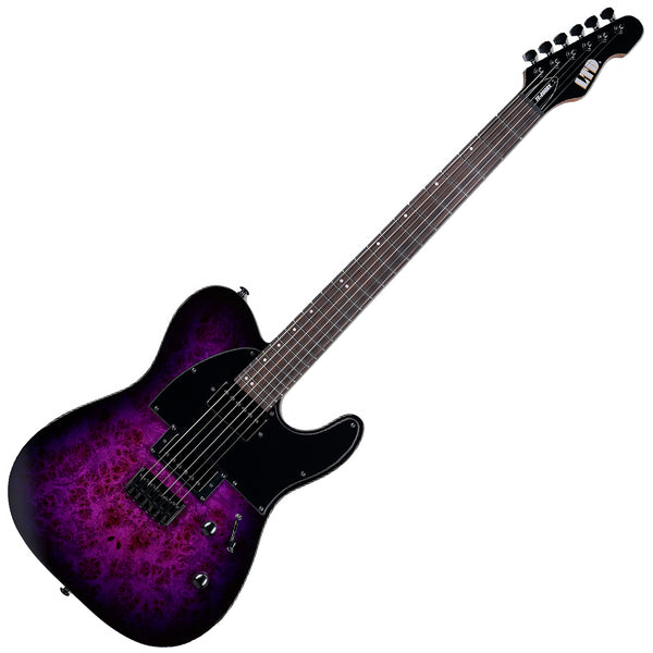 ESP LTD TE-200DX Electric Guitar in Purple Burst - LTE200DXPRB