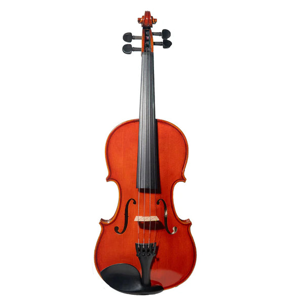 Stentor Anniversary Edition Advanced 4/4 Violin Outfit - ST1702