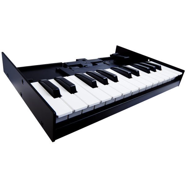 Roland Mini Control Keyboard - K25M