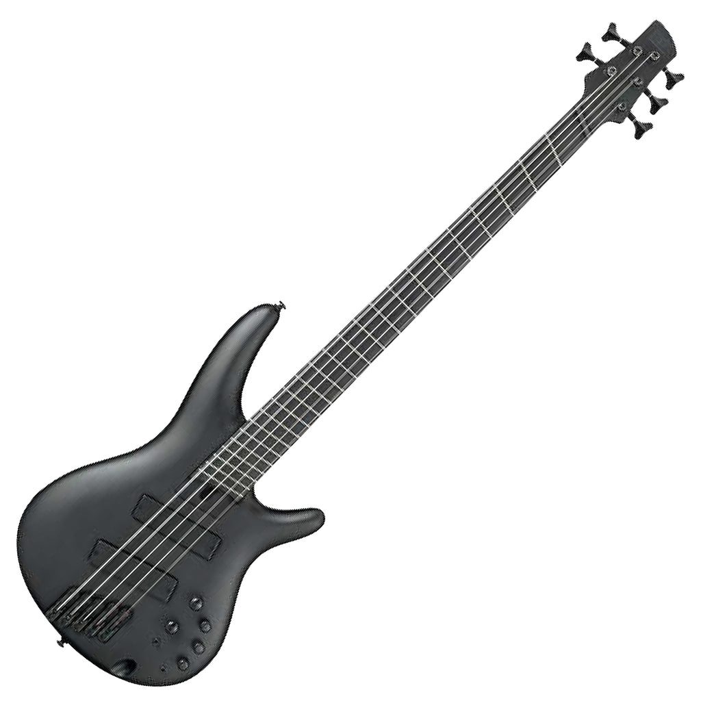 Ibanez Iron Label 5 String Electric Bass HH n Black Flat - SRMS625EXBKF