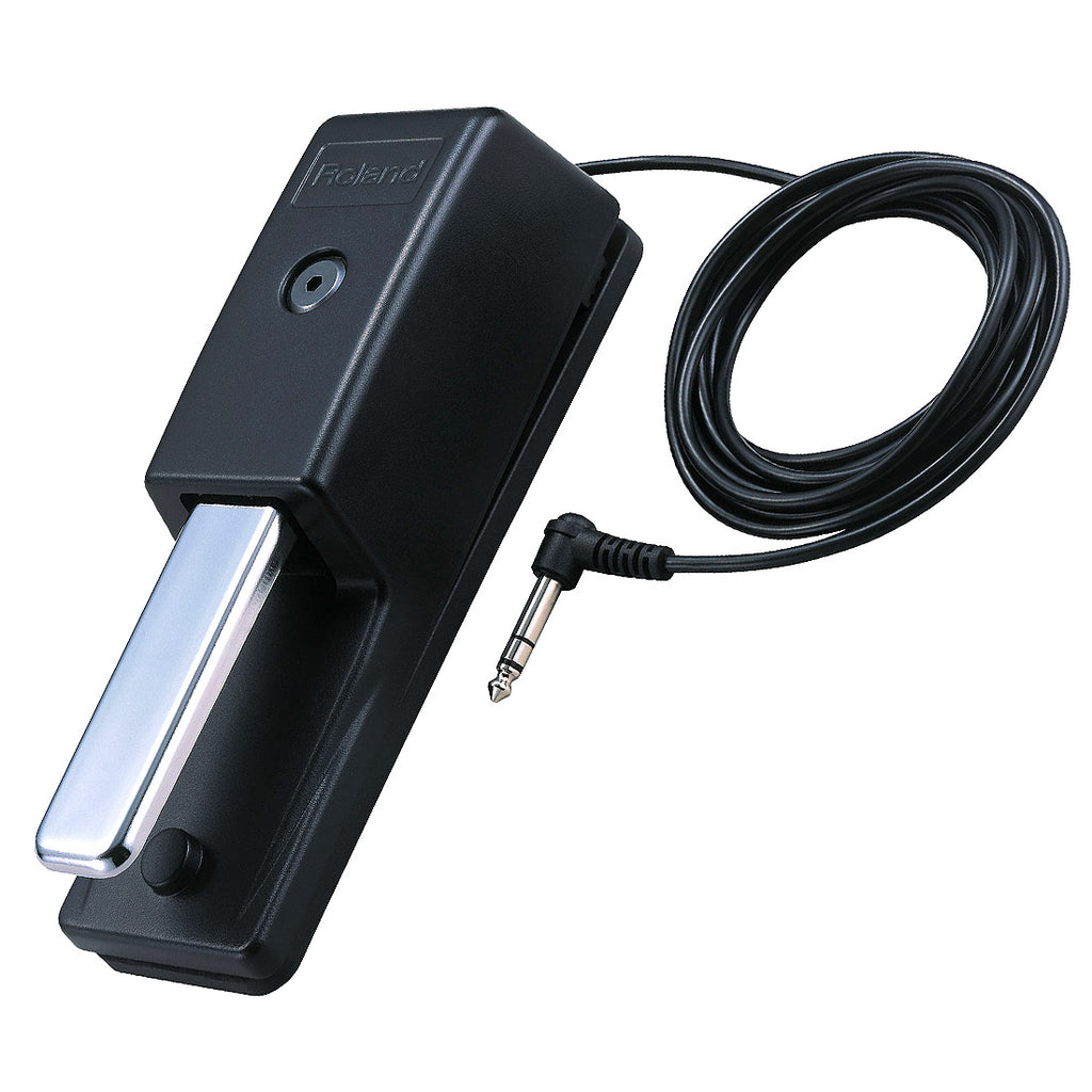 roland dp pedal Buy Roland Piano Style Sustain Pedal - DP10 in Canada