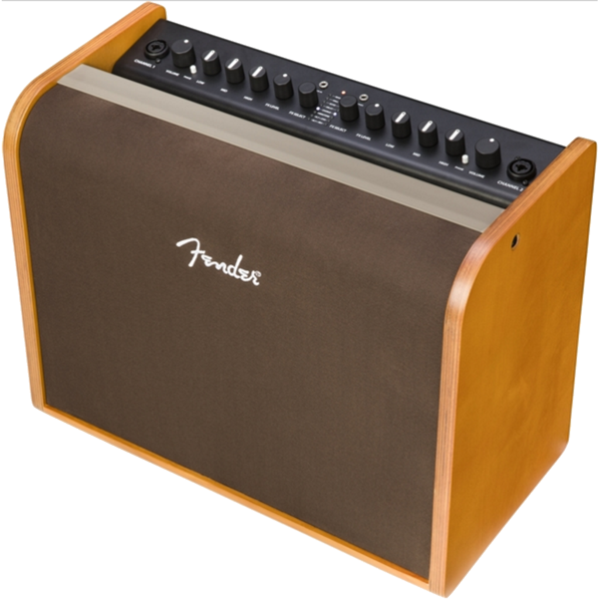 Fender Acoustic 100 Watt Acoustic Amplifier - 2314000000