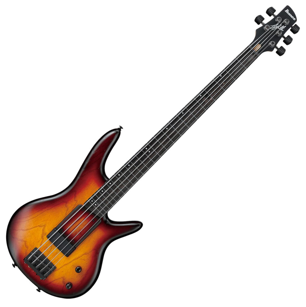 Ibanez Gary Willis Signature 5 String Electric Bass in Tequila Sunrise Flat w/Bag - GWB205TQF